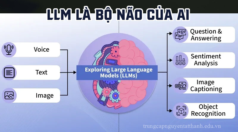 Cách LLM hoạt động