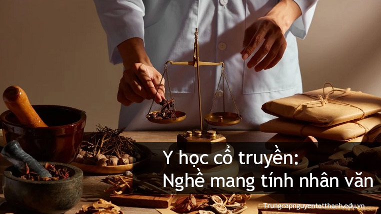 học ngành y học cổ truyền
